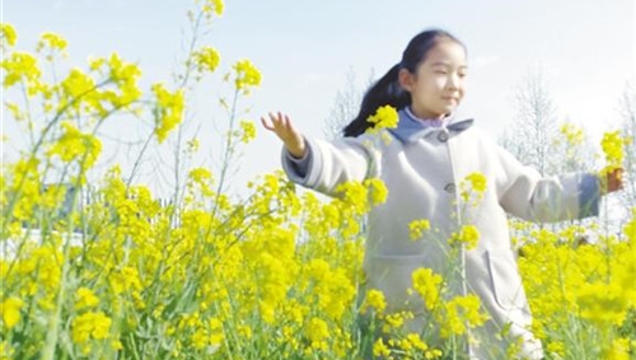 油菜花開(kāi)惹人醉