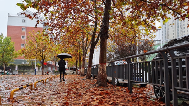 雨中周口，別有一番韻味